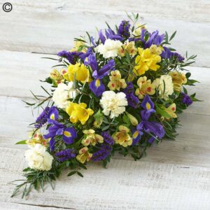 Lemon and Blue Spray