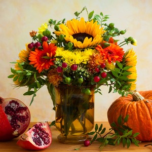 Autumn Flowers Donegal