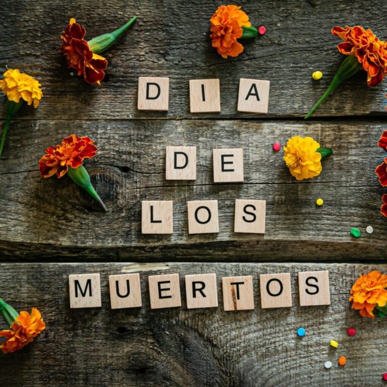 Marigolds – Day of the Dead Flowers