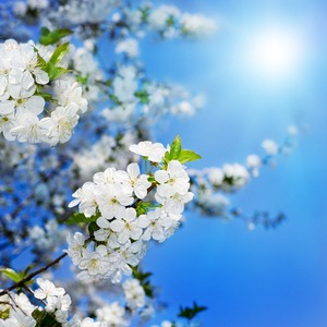 Spring Has Sprung!
