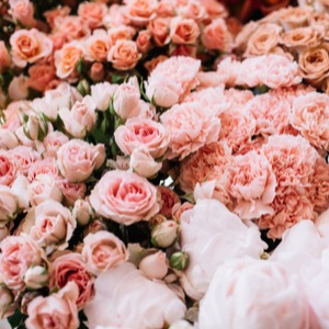 Valentines Flowers