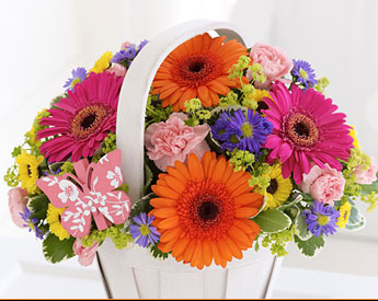 Flower care guide