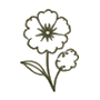 Fresh & Seasonal Flowers