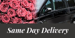 same-day-nationwide