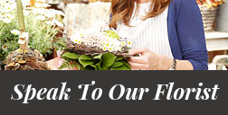 speak to a local florist in Ballybofey